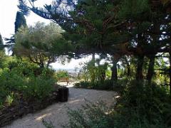 183 HYERES ET SES PALMIERS D01_000039